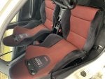 Car Vehicle Window Seat belt Plant